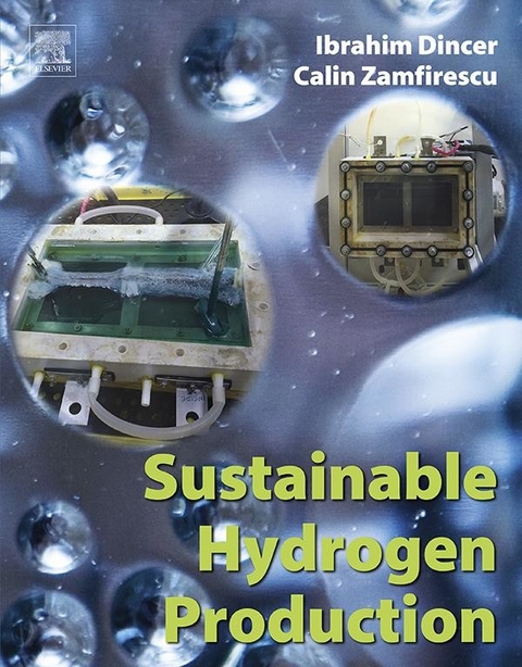 Sustainable Hydrogen Production -  Ibrahim Dincer,  Calin Zamfirescu