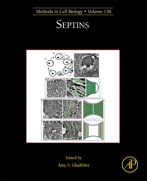 Septins - 