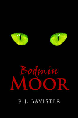 Bodmin Moor - R. J. Bavister