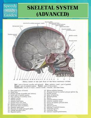 Skeletal System Advanced (Speedy Study Guides) -  Speedy Publishing LLC