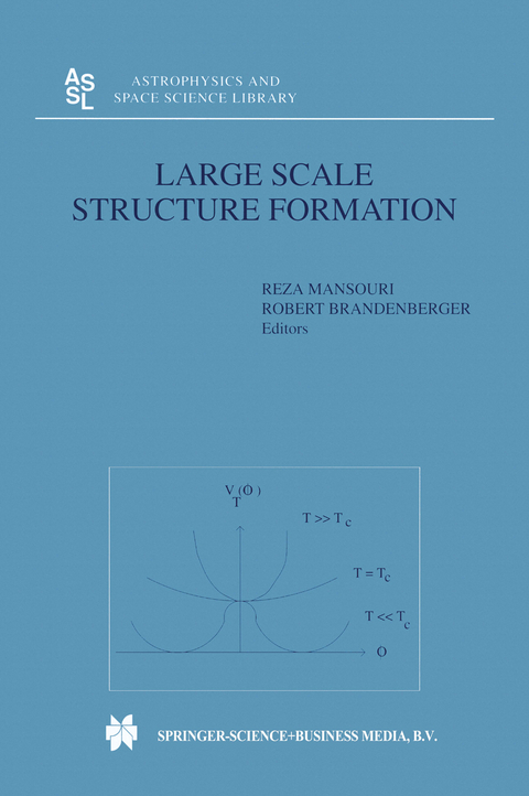Large Scale Structure Formation - 