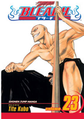 Bleach, Vol. 23 - Tite Kubo