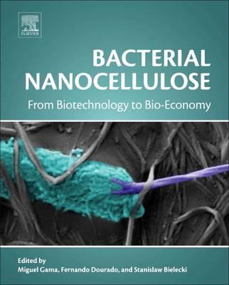 Bacterial Nanocellulose - 