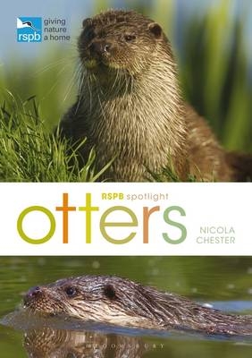 RSPB Spotlight: Otters -  Chester Nicola Chester