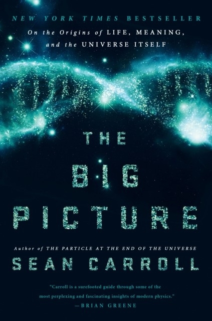 Big Picture -  Sean Carroll