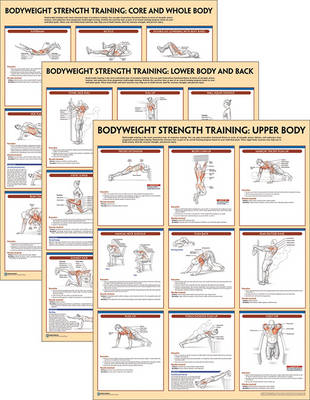Bodyweight Strength Training Anatomy Poster Series - Human Kinetics