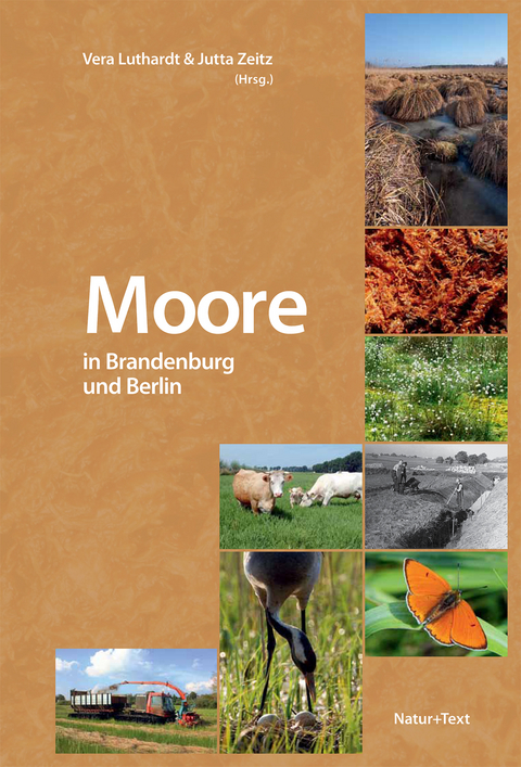 Moore in Brandenburg und Berlin - 