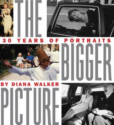 The Bigger Picture - Diane Walker