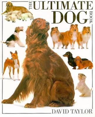 Ultimate Dog Book - David Taylor