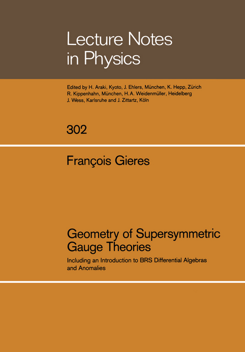 Geometry of Supersymmetric Gauge Theories - Francois Gieres