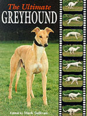 The Ultimate Greyhound - 