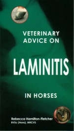 Veterinary Advice on Laminitis in Horses - Rebecca Hamilton-Fletcher