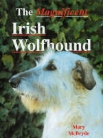 Magnificent Irish Wolfhound - Mary McBryde