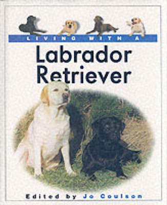 Living with a Labrador Retriever - 