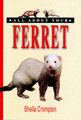 All About Your Ferret - Sheila Crompton