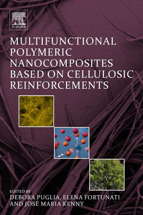 Multifunctional Polymeric Nanocomposites Based on Cellulosic Reinforcements -  Elena Fortunati,  Jose M. Kenny,  Debora Puglia