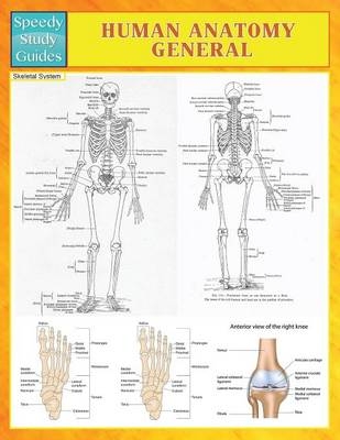 Human Anatomy General (Speedy Study Guides) -  Speedy Publishing LLC