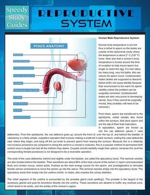 Reproductive System (Speedy Study Guide) -  Speedy Publishing LLC