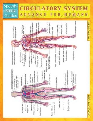 Circulatory System Advanced for Humans (Speedy Study Guides) -  Speedy Publishing LLC