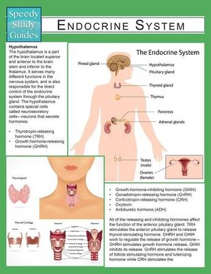 Endocrine System (Speedy Study Guide) -  Speedy Publishing LLC