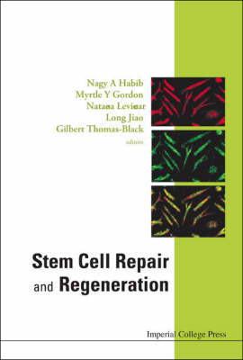 Stem Cell Repair And Regeneration - 