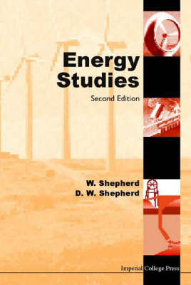 Energy Studies (2nd Edition) - William Shepherd, DAVID William Shepherd