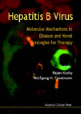 Hepatitis B Virus: Molecular Mechanisms In Disease And Novel Strategies For Therapy - 