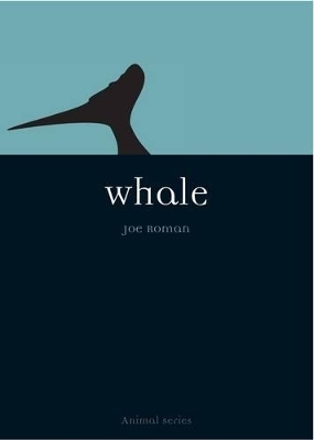 Whale - Joe Roman