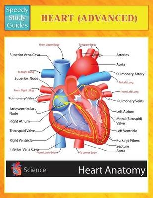 Heart (Advanced) (Speedy Study Guides) -  Speedy Publishing LLC