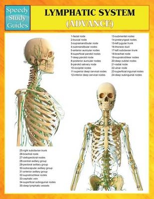 Lymphatic System (Advanced) (Speedy Study Guides) -  Speedy Publishing LLC