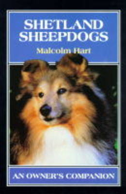 Shetland Sheepdogs - Malcolm Hart