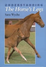 Understanding the Horse's Legs - Sara Wyche