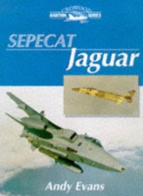 Sepecat Jaguar - Andy Evans