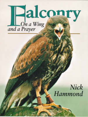 Falconry - Nick Hammond