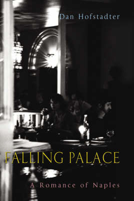 Falling Palace - Dan Hofstadter