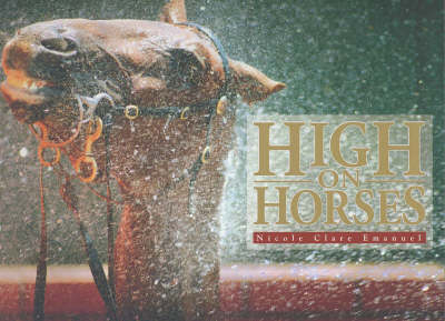 High on Horses - N.M. Emanuel