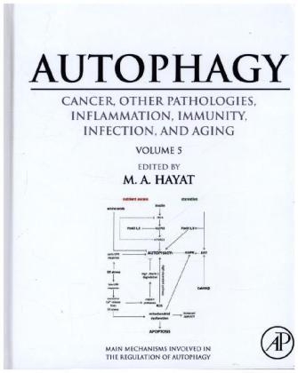 Autophagy: Cancer, Other Pathologies, Inflammation, Immunity, Infection, and Aging - 