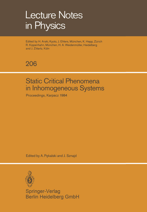 Static Critical Phenomena in Inhomogeneous Systems - 