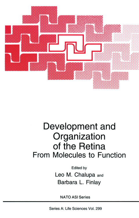 Development and Organization of the Retina - 