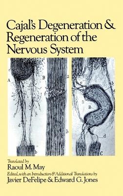 Cajal's Degeneration and Regeneration of the Nervous System - Y Cajal Santiago Ramon