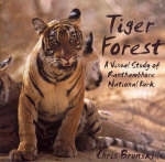 Tiger Forest - Chris Brunskill
