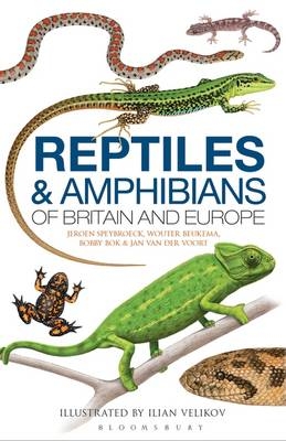 Field Guide to the Amphibians and Reptiles of Britain and Europe -  Mr Wouter Beukema,  Mr Bobby Bok,  Mr Jeroen Speybroeck,  Mr Jan Van Der Voort