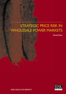 Strategic Price Risk in Wholesale Power Markets - Derek W. Bunn