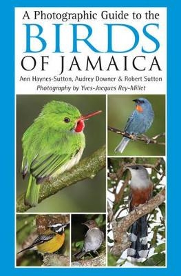 A Photographic Guide to the Birds of Jamaica - Ann Haynes-Sutton, Yves-Jacques Rey-Millet, Audrey Downer, Robert Sutton
