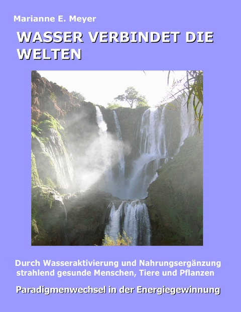 Wasser verbindet die Welten - Marianne E. Meyer