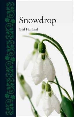 Snowdrop -  Harland Gail Harland