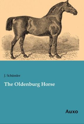 The Oldenburg Horse - J. Schüssler