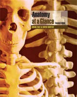 Anatomy at a Glance - Omar Faiz, David Moffat