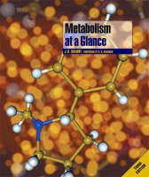 Metabolism at a Glance - J. G. Salway