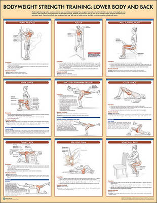 Bodyweight Strength Training Poster - Human Kinetics